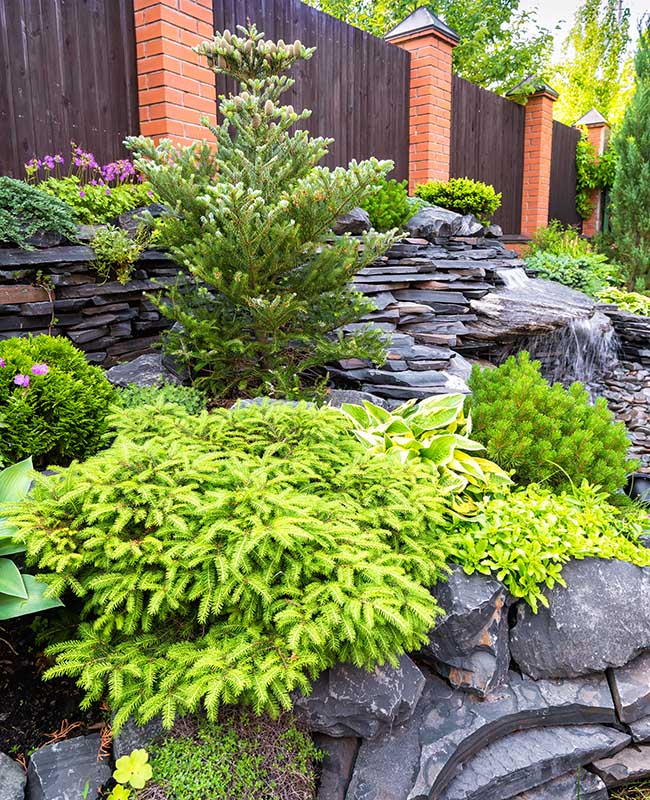 Aménagement jardin Saint-Louis