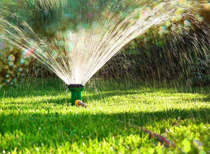 Un arrosage intelligent pour un jardin toujours vert, sans effort